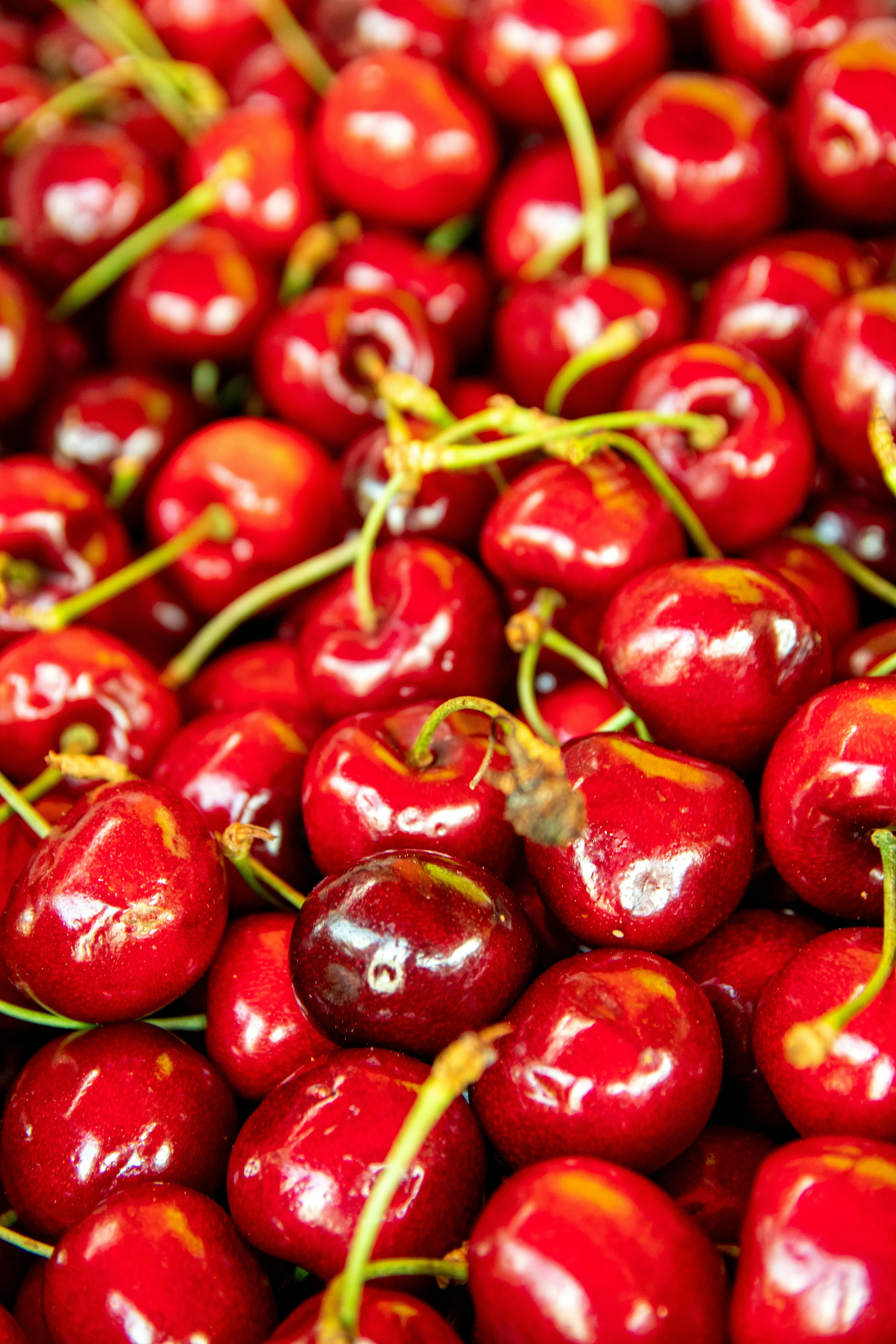 Sour Cherry